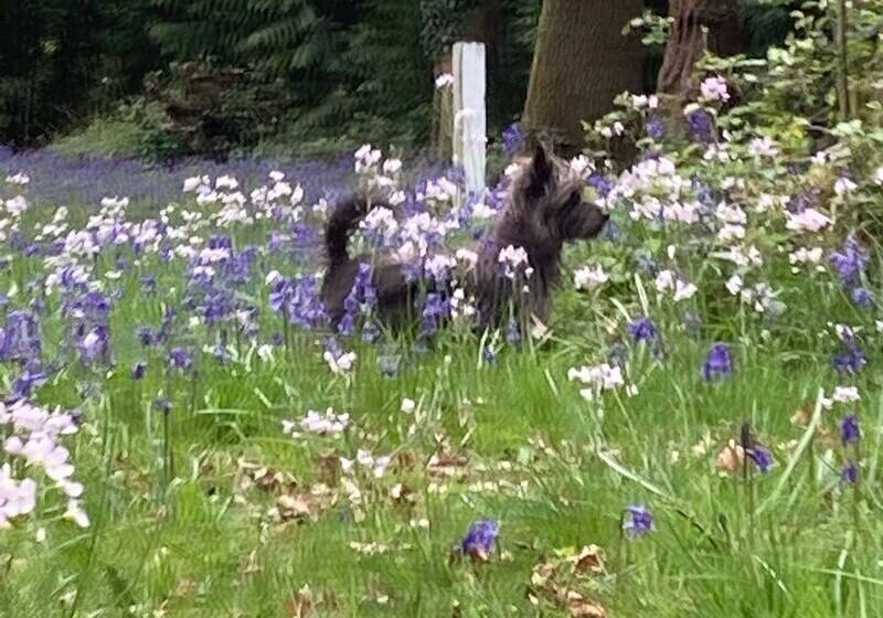 Отель Original Roadsmans Wagon, With Breathtaking Views