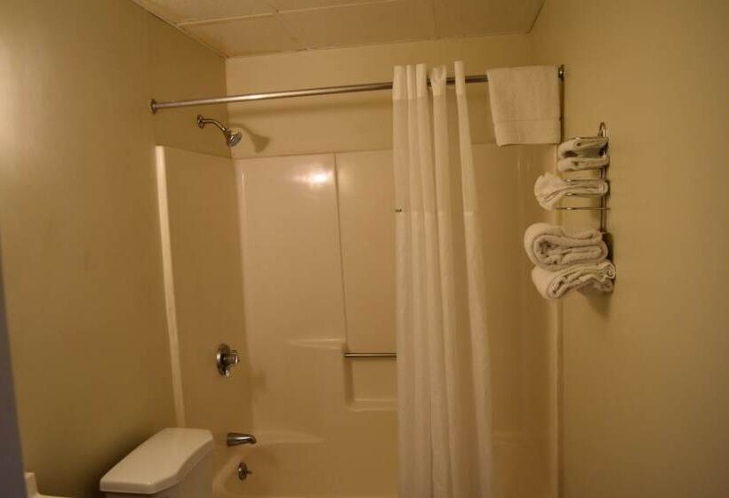 ホテル Plymouth Motor Lodge