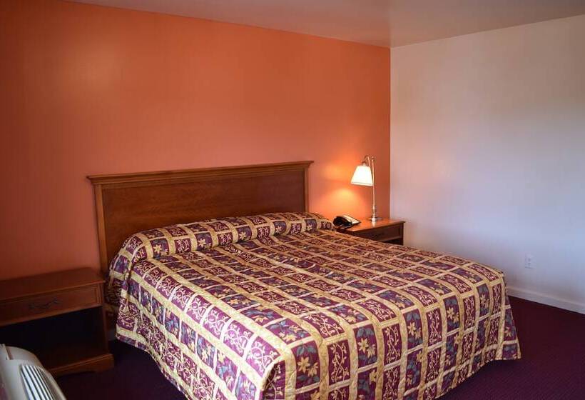 ホテル Plymouth Motor Lodge