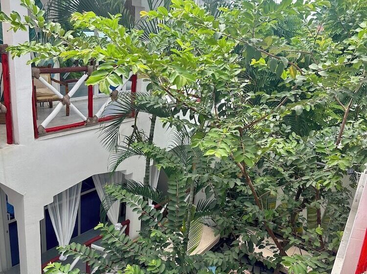 Отель Pole Pole House