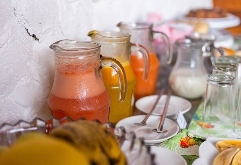 ホテル Pousada Salomé