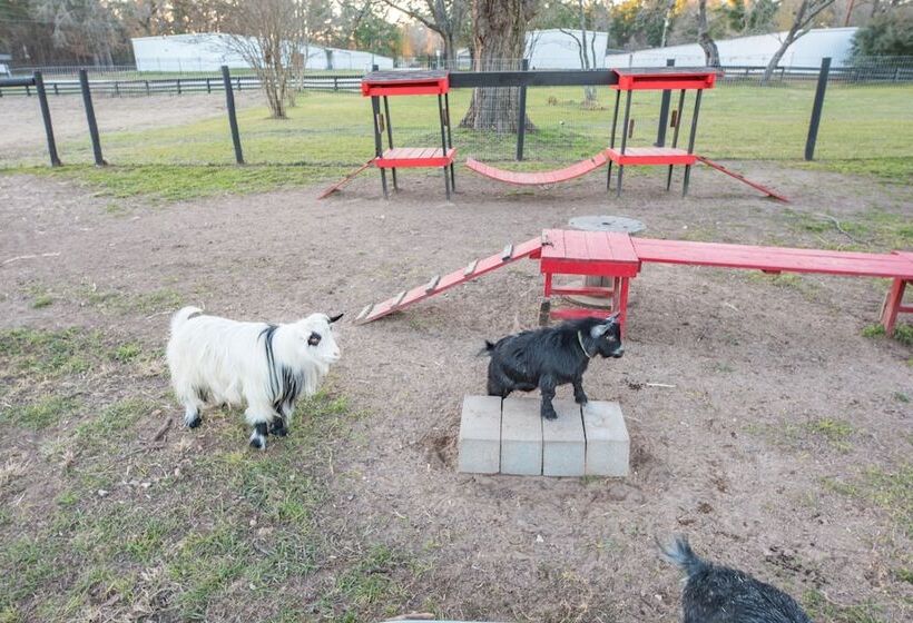 田舎風ホテル Happy Goat Retreat