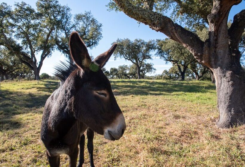 Сельский отель Herdade Das Onzenas De Cima