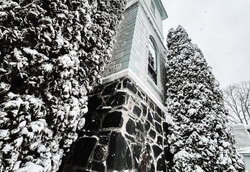 בית מלון כפרי Smithmore Castle