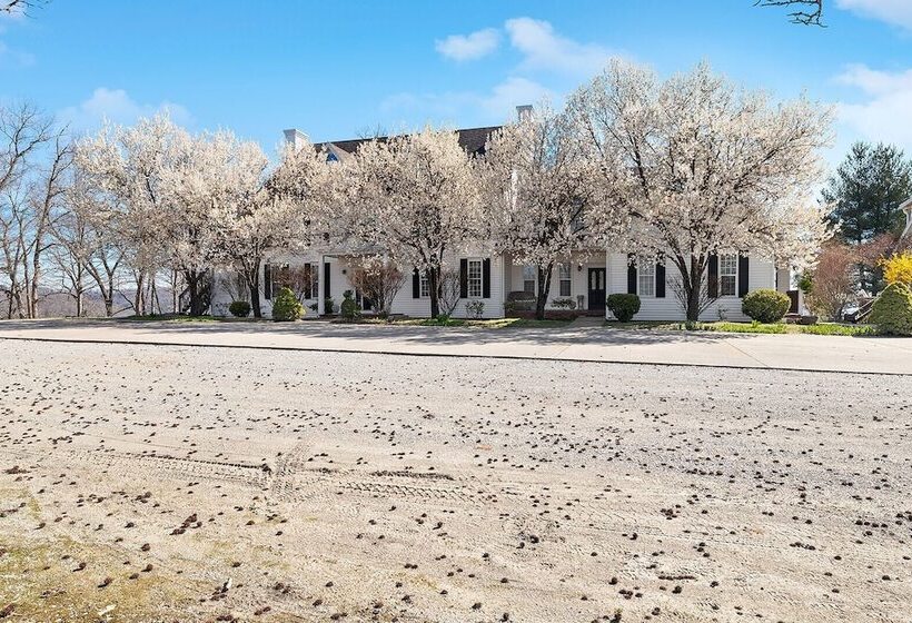 فندق The Bradford