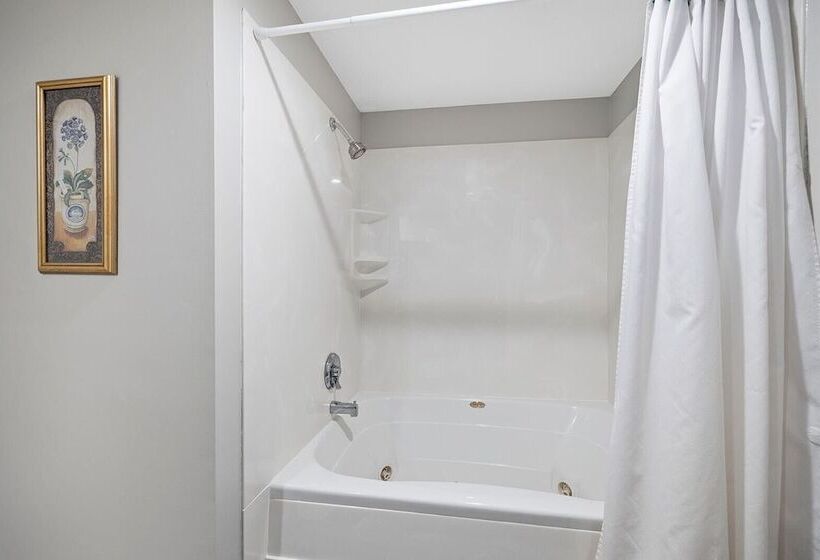 فندق The Bradford