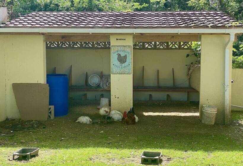 בית מלון כפרי Villa De La Vida