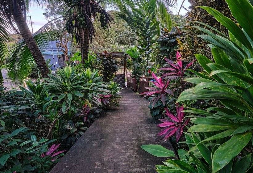 ホテル Villas Jacquelina