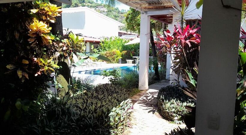 ホテル Wide Mouth Frog