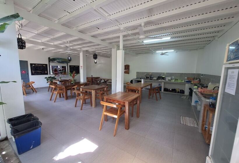 ホテル Wide Mouth Frog