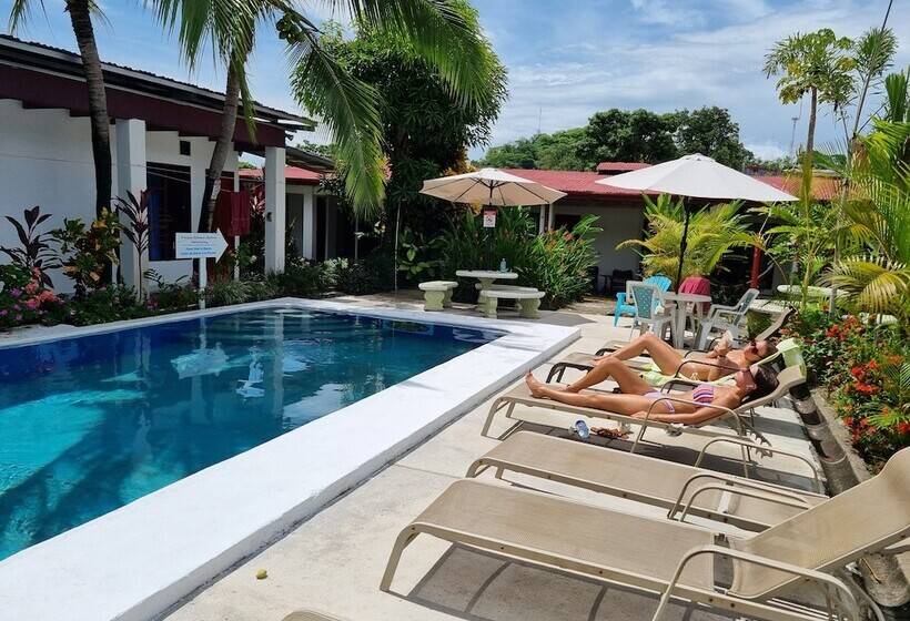 ホテル Wide Mouth Frog