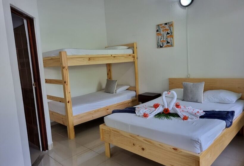 ホテル Wide Mouth Frog