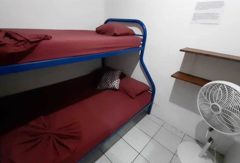 ホテル Wide Mouth Frog