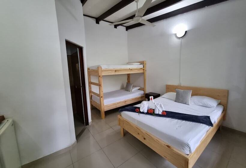 ホテル Wide Mouth Frog