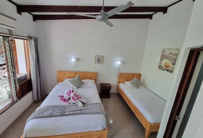 ホテル Wide Mouth Frog