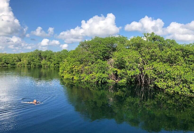 호텔 Yaxchen Tulum Cabanas & Cenote