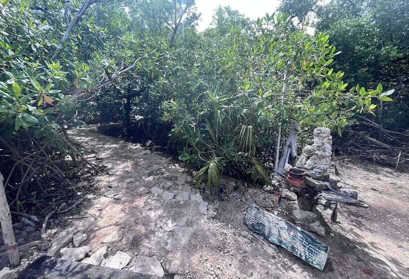 호텔 Yaxchen Tulum Cabanas & Cenote