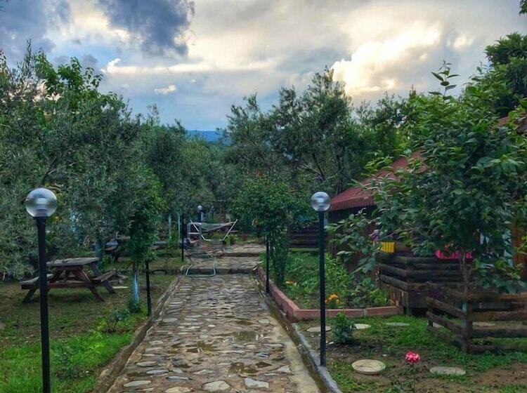 هتل Zeytindagi Bungalow