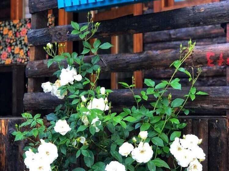 ホテル Zeytindagi Bungalow