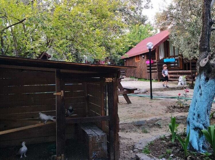 هتل Zeytindagi Bungalow