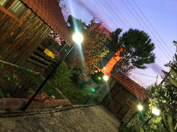 ホテル Zeytindagi Bungalow