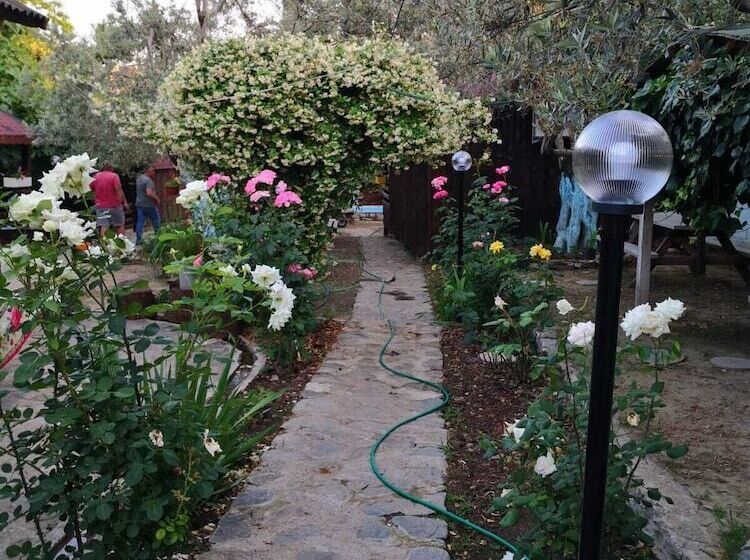 酒店 Zeytindagi Bungalow