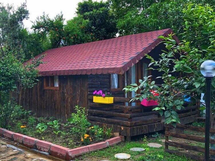ホテル Zeytindagi Bungalow