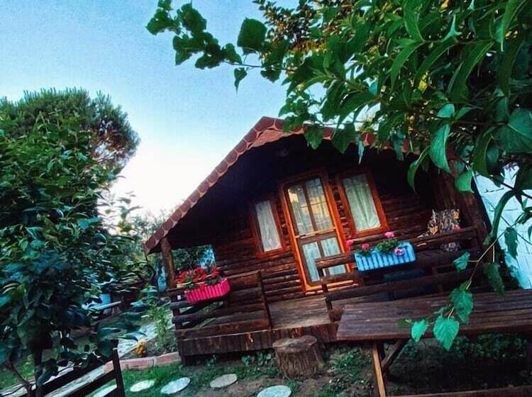 酒店 Zeytindagi Bungalow