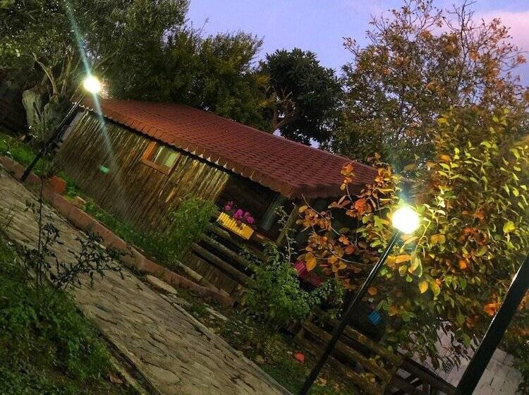 ホテル Zeytindagi Bungalow