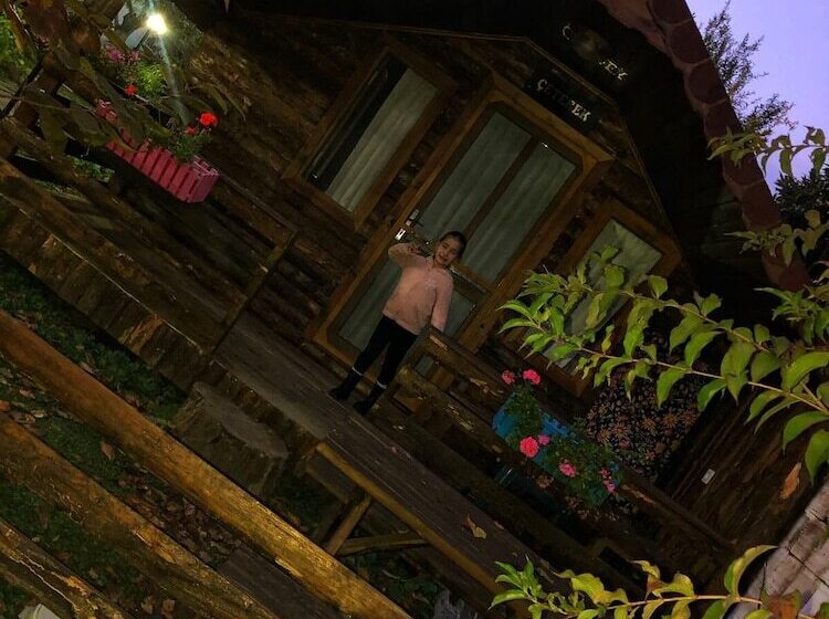 ホテル Zeytindagi Bungalow