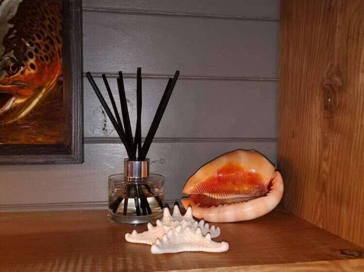 Luxury Cabin In The Magical Galloway Forest Park