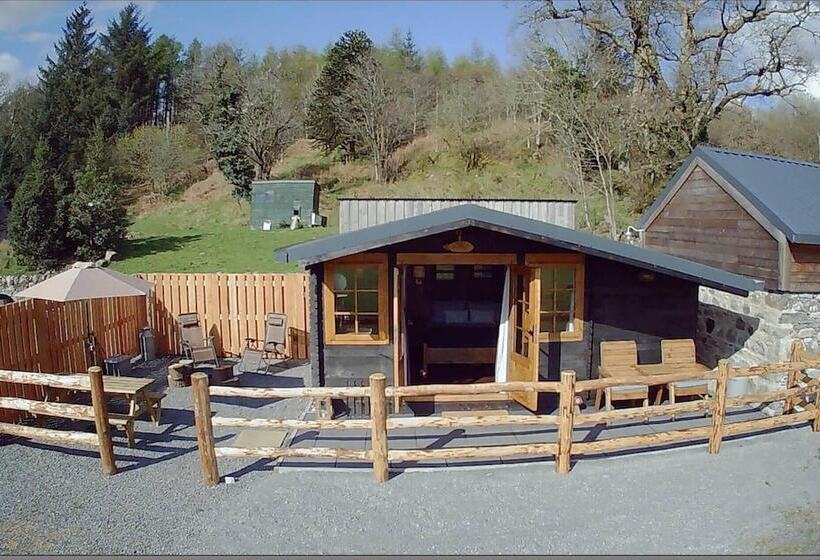 Luxury Cabin In The Magical Galloway Forest Park