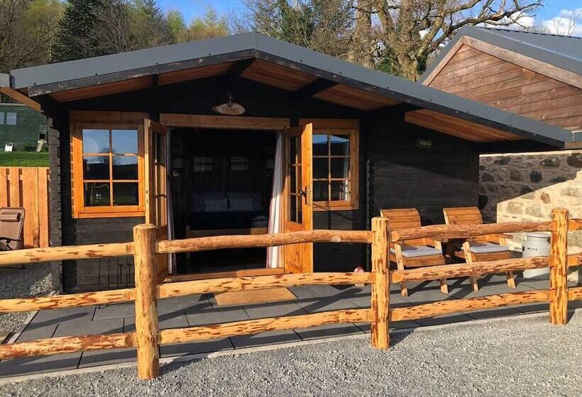 Luxury Cabin In The Magical Galloway Forest Park