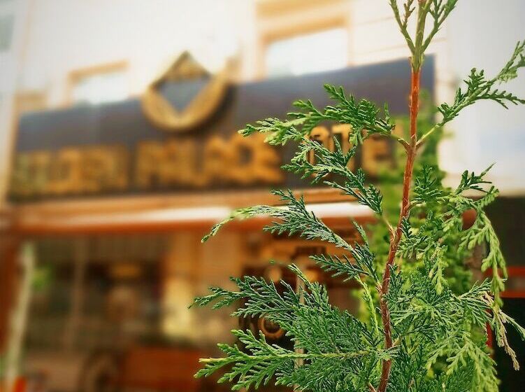 Mi̇raç Golden Palace Otel