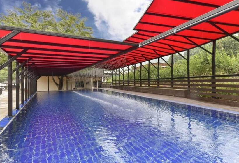 Miryang Genie S Magic Lamp Pension Lamp