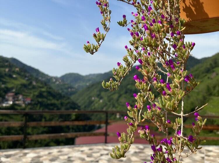 Puleri Suit Bungalow