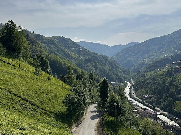 Puleri Suit Bungalow