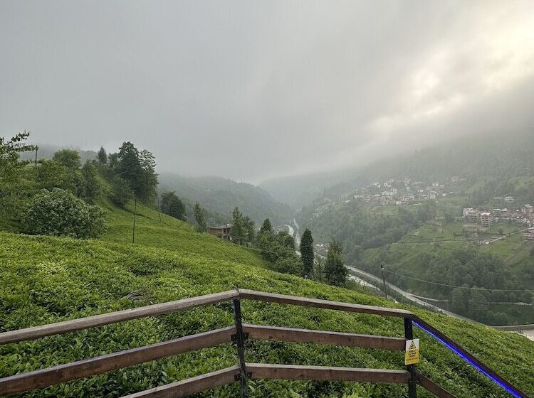 Puleri Suit Bungalow