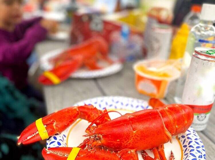 모텔 Bourne S Ocean Acres Ogunquit