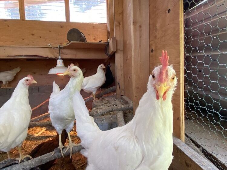 فندق على الطريق Columbia Point Resort