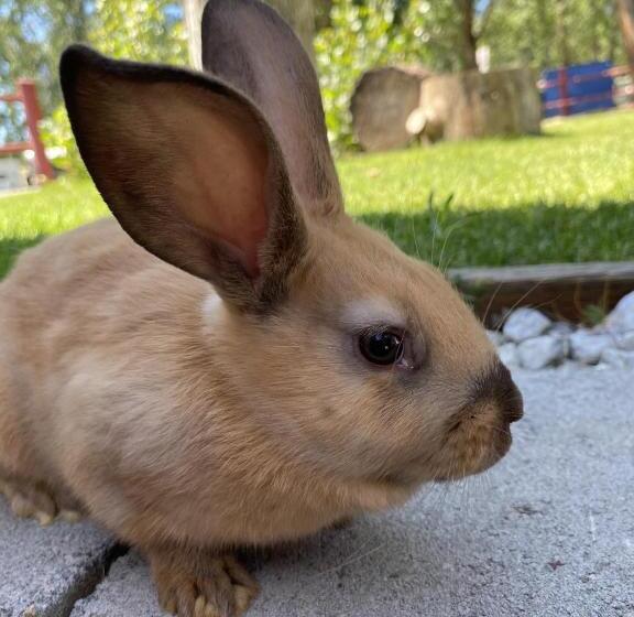 فندق على الطريق Columbia Point Resort