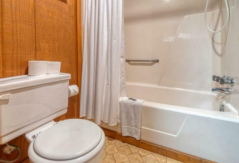 モーテル Sabinal Inn