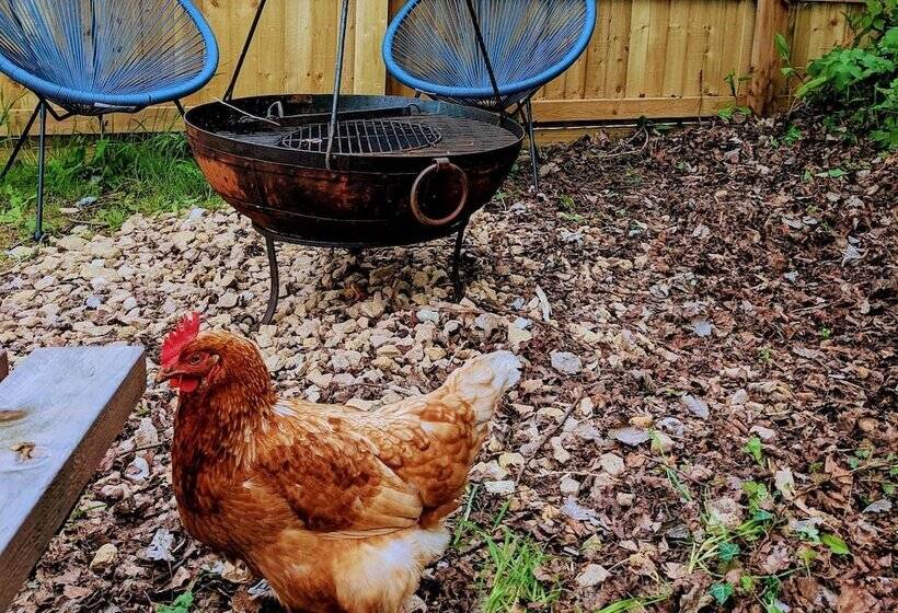 Narrowboat With Hot Tub, Spa, Cruising And More