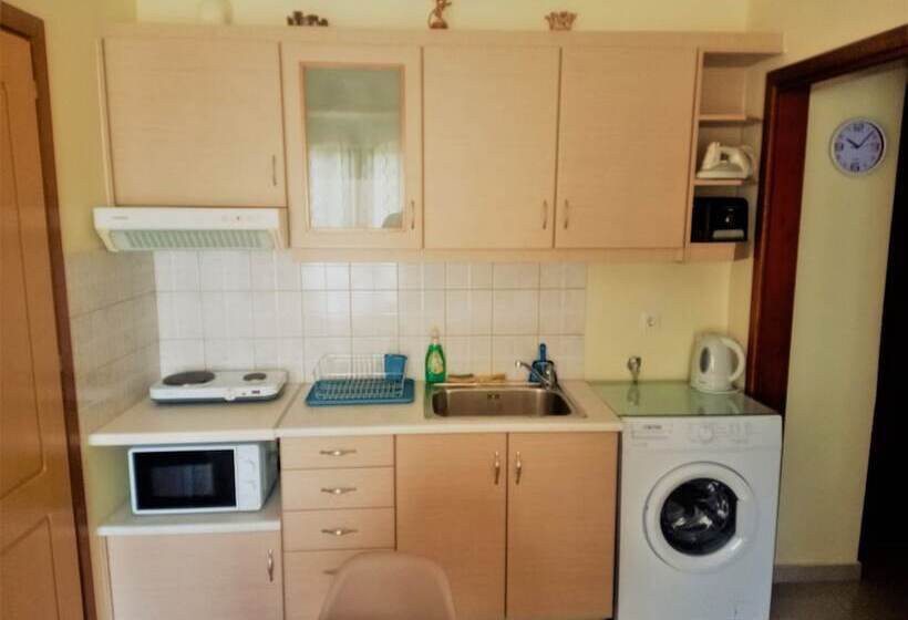 펜션 Alkioni City Apartments