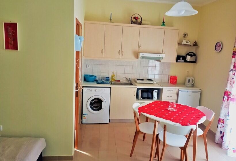 펜션 Alkioni City Apartments