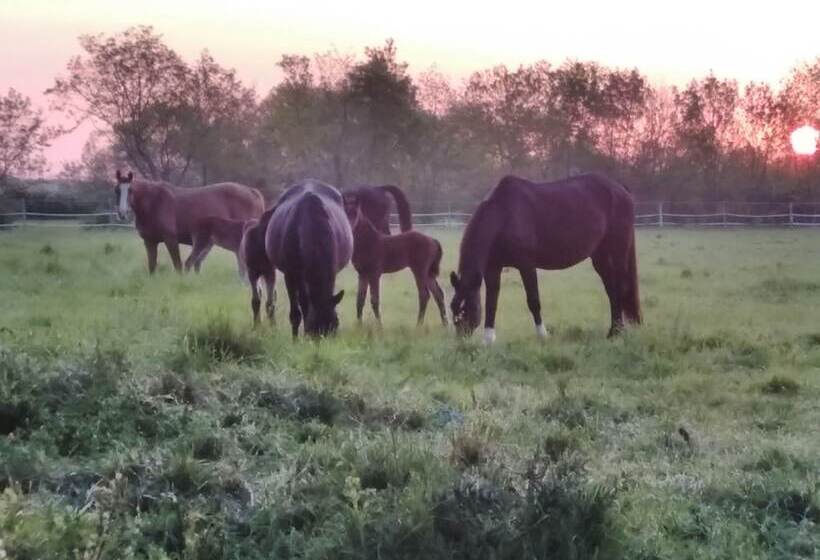 Пансион Chambres Des Lunes
