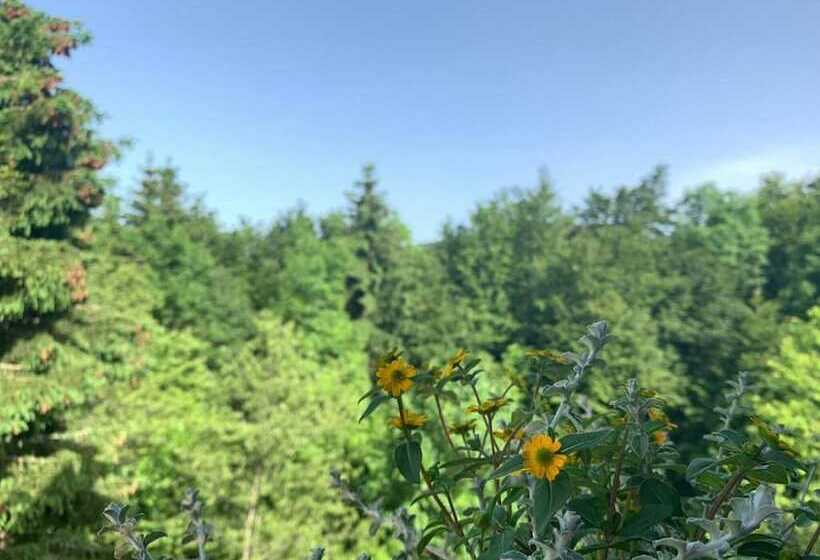 פנסיון Guesthouse Family Bosnic