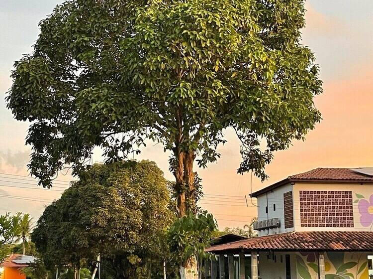 Пансион Pousada Flor De Alecrim