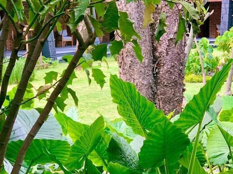 Quinta Tonantzin Hotel Boutique