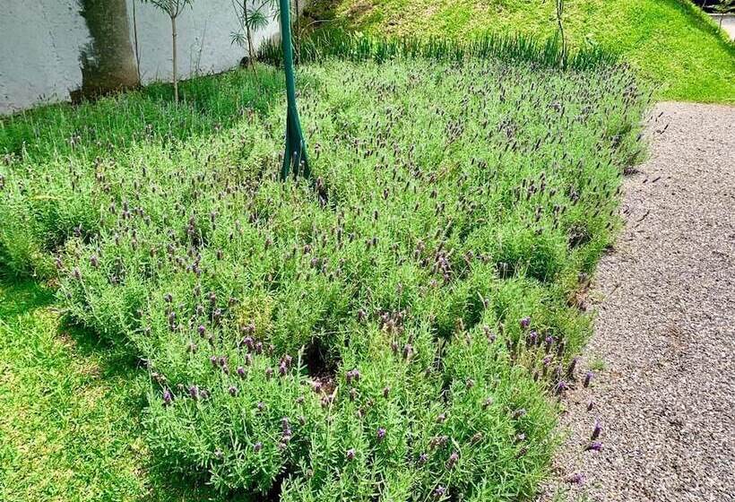 Quinta Tonantzin Hotel Boutique